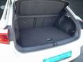 Volkswagen T-Roc R-Line 1.5 TSI DSG ACC+AHK+Kamera+Navi+LM Weiß - thumbnail 14