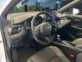 Toyota C-HR 125H Advance Blanco - thumbnail 7