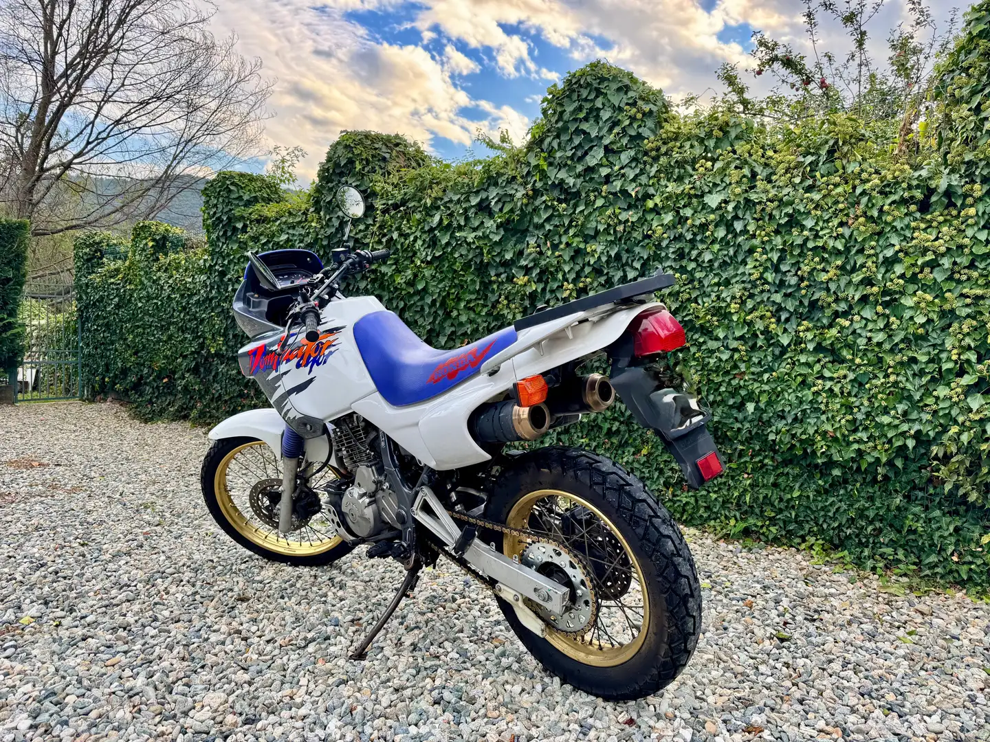 Honda NX 650 Dominator - 2