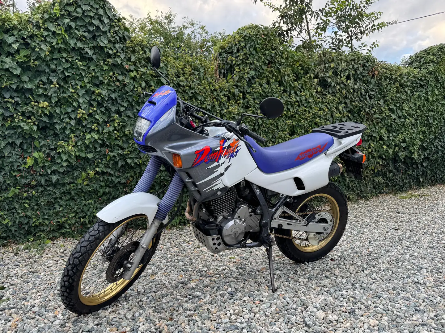 Honda NX 650 Dominator - 1