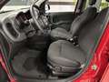 Fiat Panda III 2021 Cross 1.0 firefly hybrid Cross s Rot - thumbnail 7