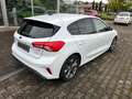 Ford Focus 1.0 EcoBoost Hybrid ST-LINE*LED+KAMERA* Weiß - thumbnail 6