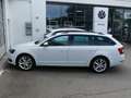 Skoda Octavia Skoda Octavia Combi 2,0l TDI Ambition App/AHK/PDC Weiß - thumbnail 14