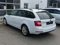 Skoda Octavia Skoda Octavia Combi 2,0l TDI Ambition App/AHK/PDC Weiß - thumbnail 13