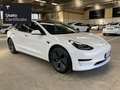 Tesla Model 3 Rear-Wheel Drive Bianco - thumbnail 11