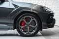 Lamborghini Urus 1.HAND Q-CITURA PANORAMA ACC HEAD-UP Grau - thumbnail 9