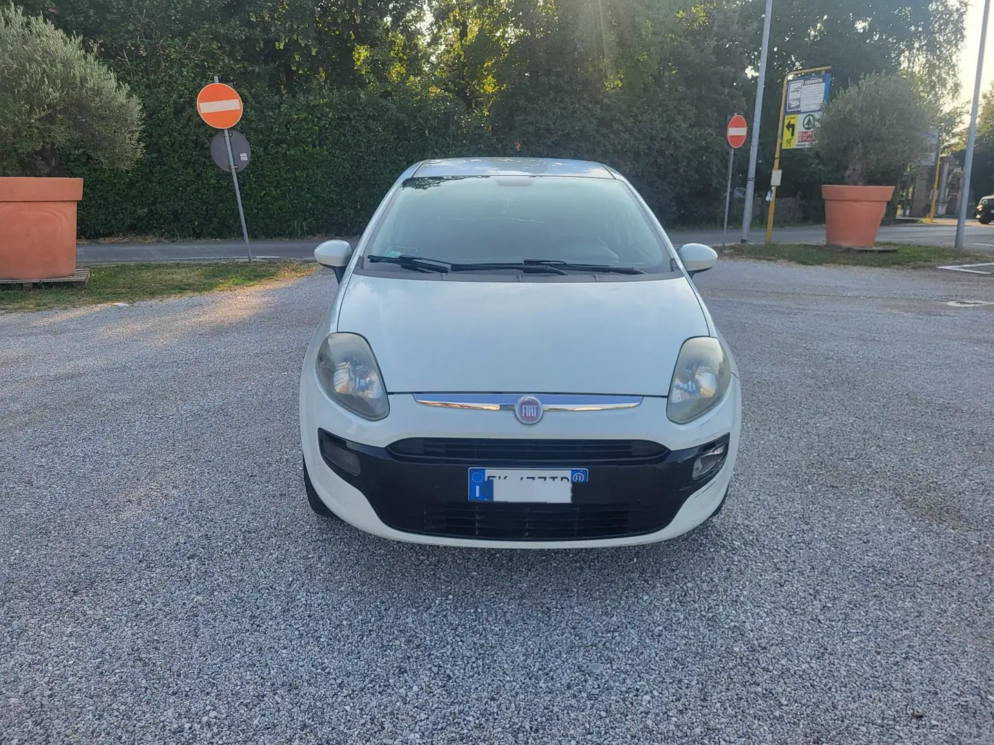 Fiat Punto 5p 1.2 natural power Classic Active - 1