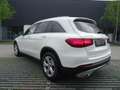 Mercedes-Benz GLC 220 GLC -Klasse GLC 220 d 4Matic-Scheckh.gep Weiß - thumbnail 13