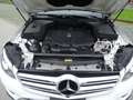 Mercedes-Benz GLC 220 GLC -Klasse GLC 220 d 4Matic-Scheckh.gep Weiß - thumbnail 12