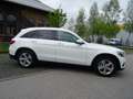 Mercedes-Benz GLC 220 GLC -Klasse GLC 220 d 4Matic-Scheckh.gep Weiß - thumbnail 17