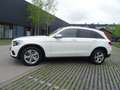 Mercedes-Benz GLC 220 GLC -Klasse GLC 220 d 4Matic-Scheckh.gep Weiß - thumbnail 19