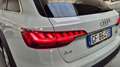 Audi A4 allroad A4 Allroad 40 2.0 TDI EVOLUTION quattro 204cv s-tr Blanc - thumbnail 23