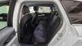 Audi A4 allroad A4 Allroad 40 2.0 TDI EVOLUTION quattro 204cv s-tr Blanc - thumbnail 22
