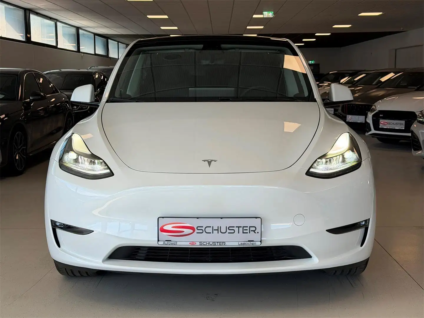 Tesla Model Y Long Range AWD 75kWh Weiß - 2