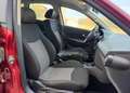 SEAT Ibiza Ibiza 1.9TDi Reference Reference - thumbnail 4