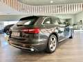 Audi A4 Avant 30 TDI/136 CV S tronic Business Advanced Grigio - thumbnail 7