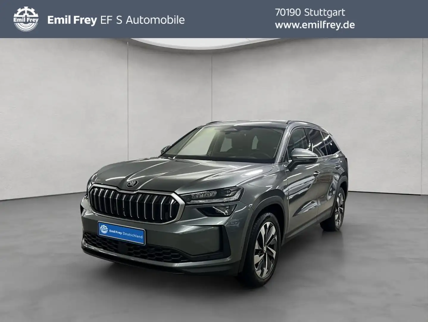 Skoda Kodiaq 2.0 TDI 4x4 DSG Selection Gris - 1