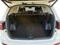 Kia Sorento 2.2 CRDi Platinum Edition 4WD (EURO 6d-TEM Blanc - thumbnail 11
