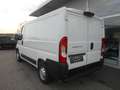 Fiat Ducato Ducato 30 L1H1 115Multijet Navi Kasten Netto € ... Weiß - thumbnail 7