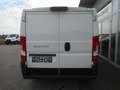 Fiat Ducato Ducato 30 L1H1 115Multijet Navi Kasten Netto € ... Weiß - thumbnail 6
