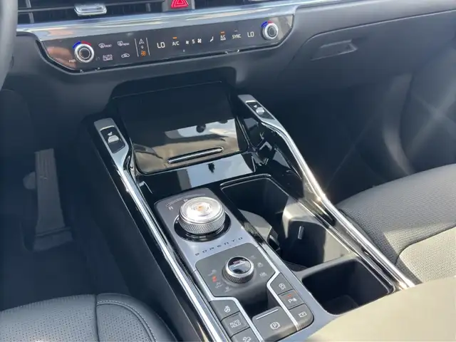 Kia Sorento view 15