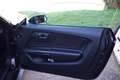 Ford Mustang 3.7 Schwarz - thumbnail 6