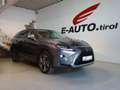 Lexus RX 450h L *HYBRID *ALLRAD *7-SITZER *PRESIDENT *GARANTIE Grau - thumbnail 1