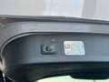 Ford Kuga 2.0 TDCI 180 CV Start&Stop Powershift 4WD Vignale Beige - thumbnail 6