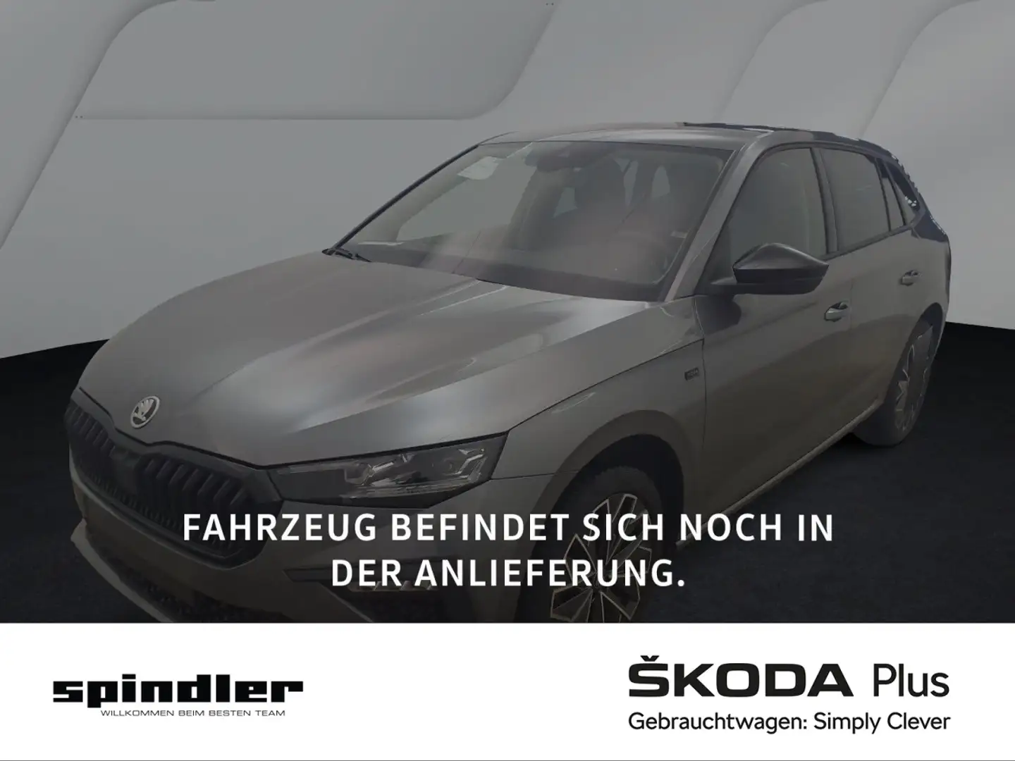 Skoda Scala Selection Black 1.0 TSI DSG / Navi, LED Grau - 1