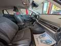 Kia Sportage Sportage V 2022 1.6 crdi mhev Style mt Bianco - thumbnail 13