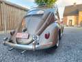 Volkswagen Kever Ovaal Or - thumbnail 2