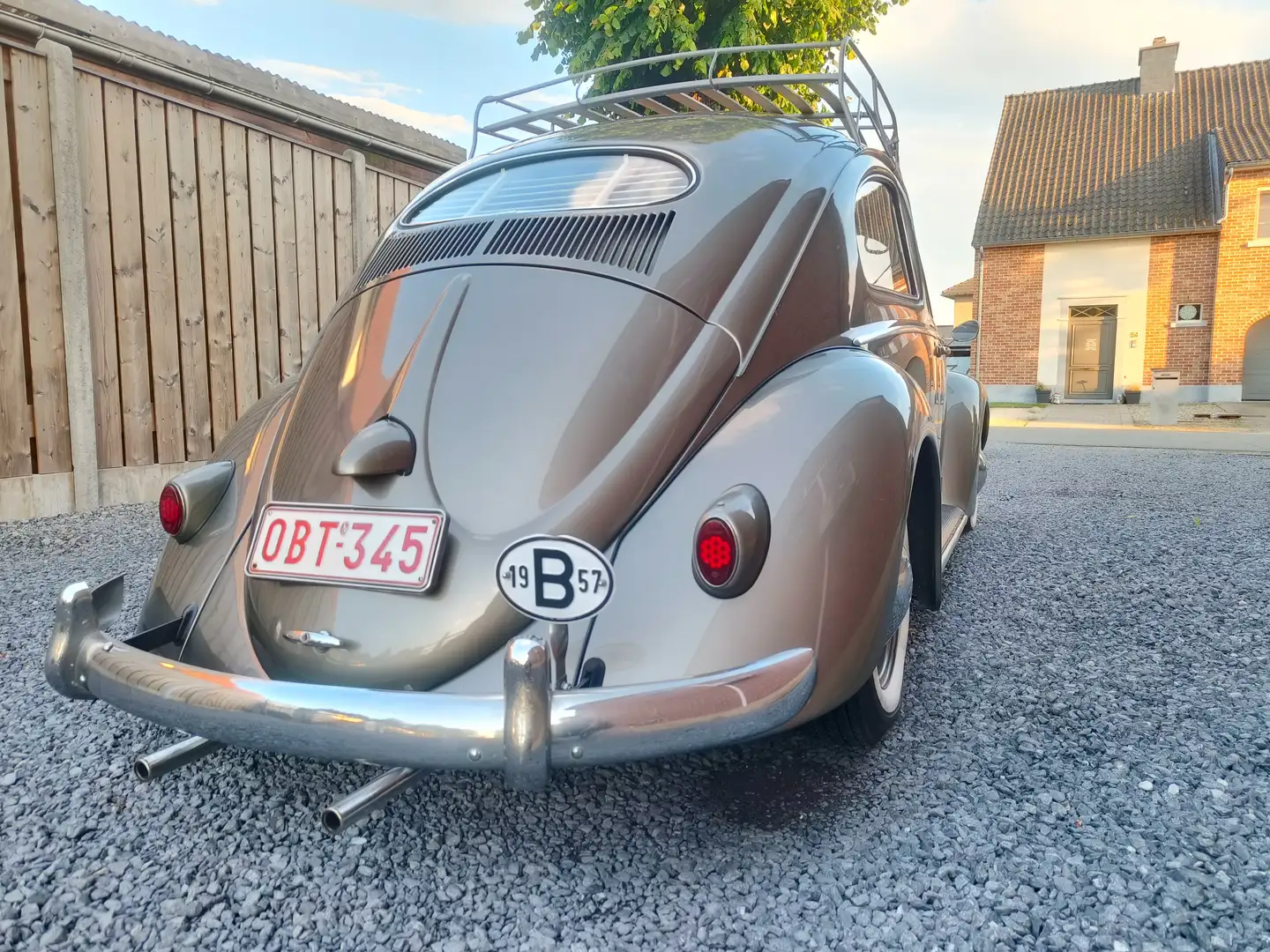 Volkswagen Kever Ovaal Or - 2
