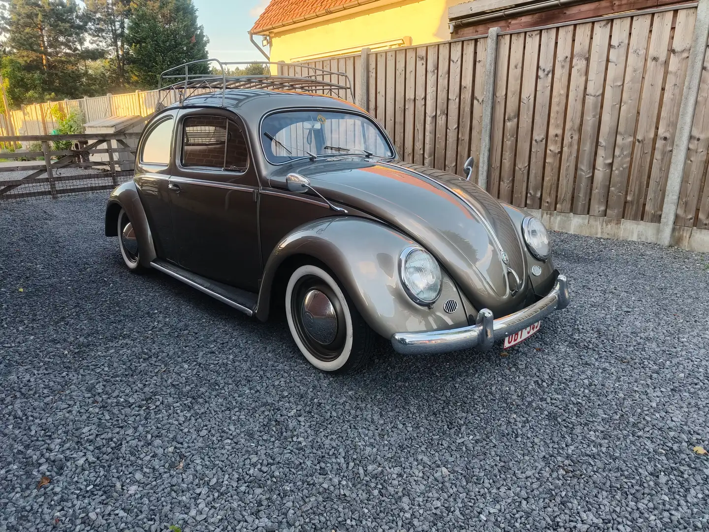 Volkswagen Kever Ovaal Or - 1