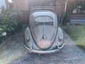 Volkswagen Kever Ovaal Or - thumbnail 18