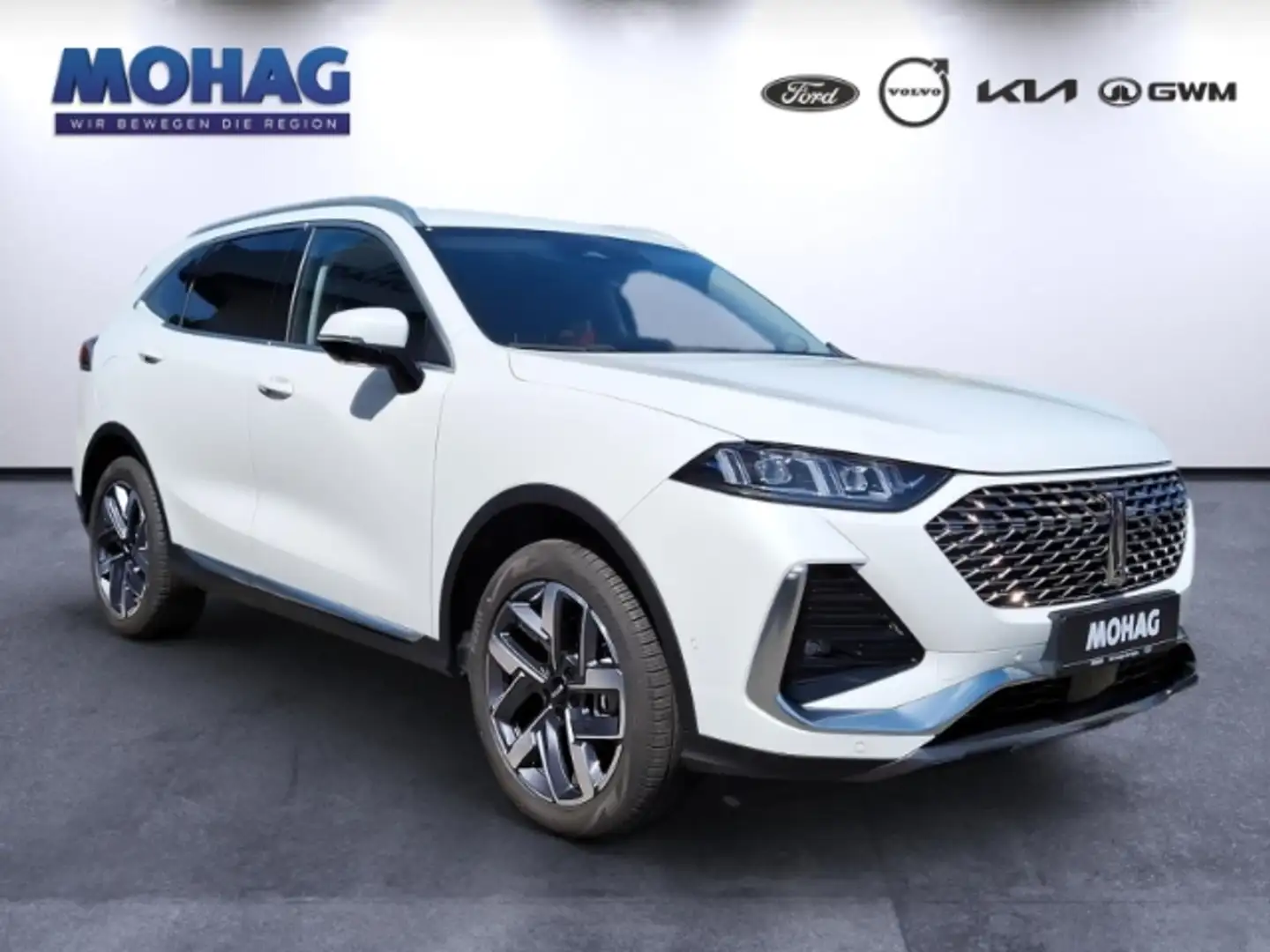 GWM WEY 03 Luxury 2,0l PHEV AWD  *Lagerabverkauf*      -Euro6 Alb - 2