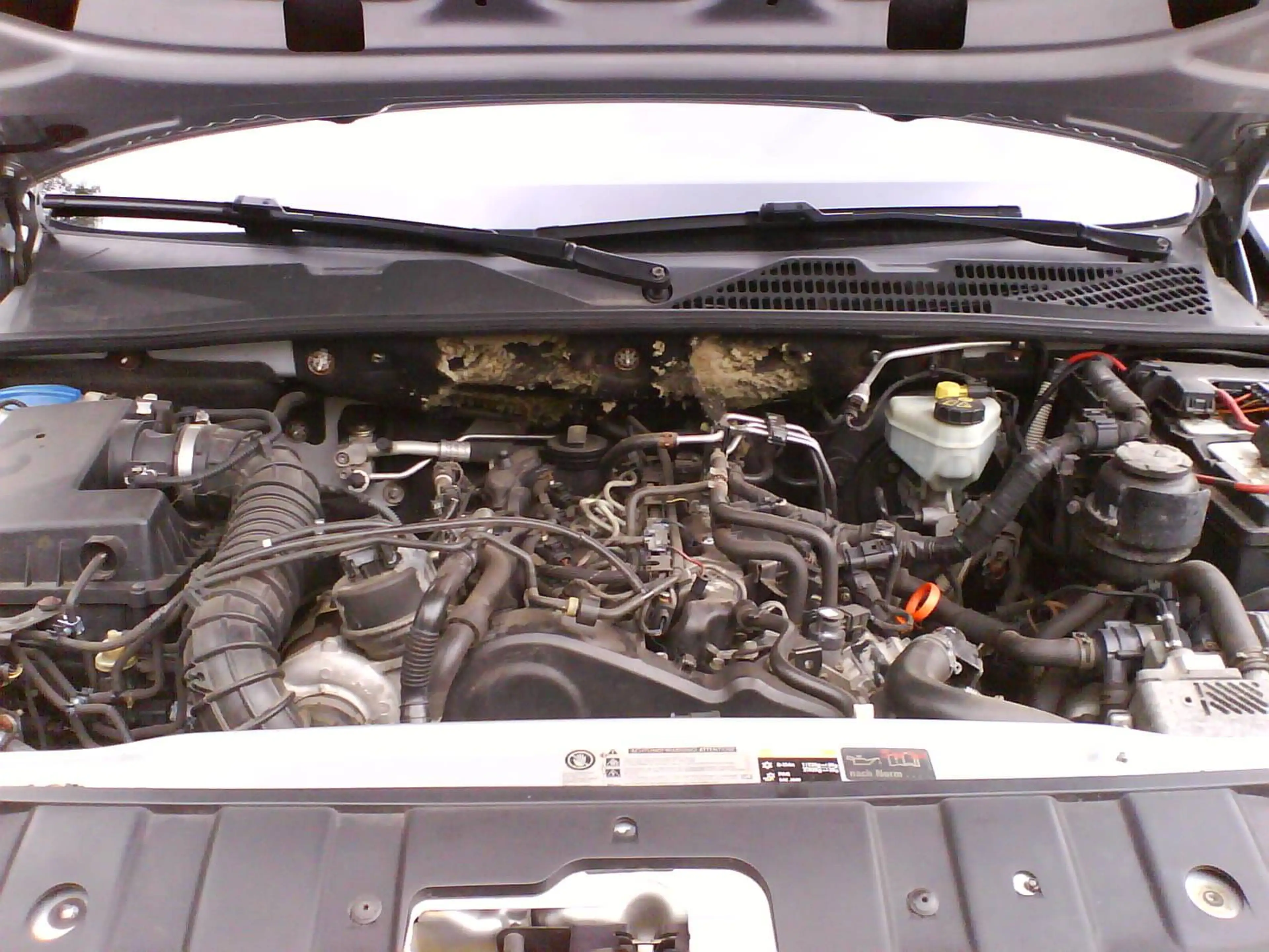 Volkswagen Amarok Basis SingleCab — photo 11