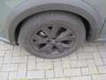 Dacia Sandero Sandero Stepway TCe 110 Extreme+ Grün - thumbnail 3