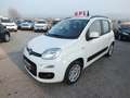 Fiat Panda 1.2  LOUNGE GPL A SCOMPARSA-UNIPROPRIETARIO-NAVI- Bianco - thumbnail 3