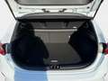 Kia Ceed / cee'd Ceed 1.5 T-GDI Vision MY25+DCT+Navi+R.Kam+Komfort White - thumbnail 11