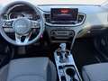 Kia Ceed / cee'd Ceed 1.5 T-GDI Vision MY25+DCT+Navi+R.Kam+Komfort White - thumbnail 9