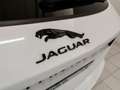 Jaguar E-Pace 2.0D I4 163 CV AWD Auto R-Dynamic S Bianco - thumbnail 11