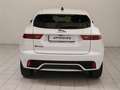 Jaguar E-Pace 2.0D I4 163 CV AWD Auto R-Dynamic S Bianco - thumbnail 7