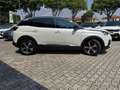 Peugeot 3008 BlueHDi 130 S&S GT Line Bianco - thumbnail 5