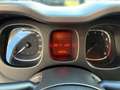 Fiat Panda New Panda Sport Klima Hybrid 1 Hand Grau - thumbnail 15