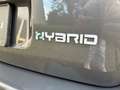 Fiat Panda New Panda Sport Klima Hybrid 1 Hand Grau - thumbnail 11