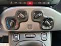 Fiat Panda New Panda Sport Klima Hybrid 1 Hand Grau - thumbnail 10