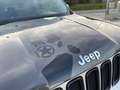 Jeep Renegade 2.0 mjt Limited 4wd 140cv auto - thumbnail 2