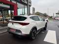 CUPRA Formentor 1.5 DSG - Ihr SEAT / CUPRA Vertragshändler Blanc - thumbnail 2