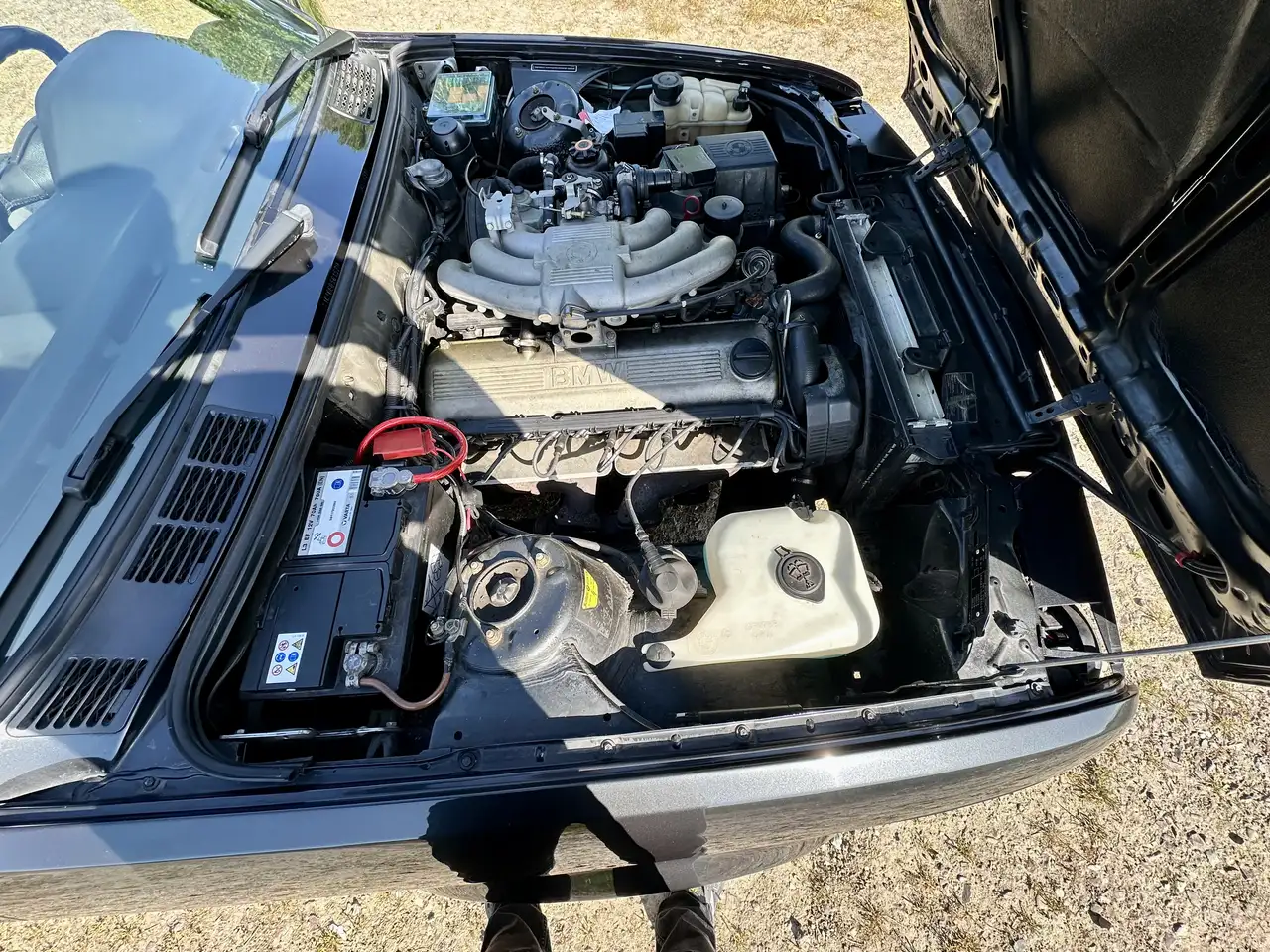 BMW 320i, foto 8