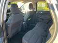 Ford Kuga 2.5 phev Titanium PROMO FINANZIAMENTO Gris - thumbnail 15